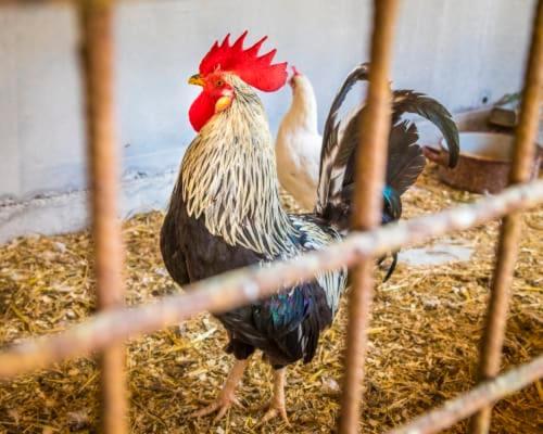 شقة Unterwoehrlehen فيستينو المظهر الخارجي الصورة